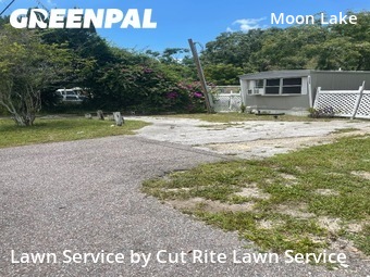 Grass Cut nearby New Port Richey, FL, 