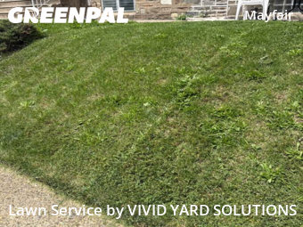 Lawn Mow nearby Philadelphia, PA, 