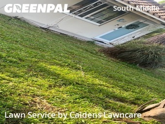 Lawn Mow nearby Fort Lauderdale, FL, 