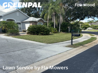 Grass Cutting nearby Trinity, FL, 