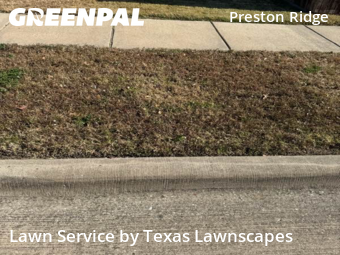 Yard Cuttingin Plano,75093,Yard Cutting by Texas Lawnscapes, work completed in Dec , 2025