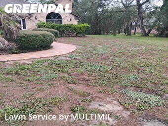 Lawn mowed in Spring Hill, 34609