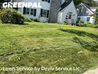 Grass Cutting in University Park, 20782, Yard Work by Deviv Service Llc, work completed in Oct , 2025