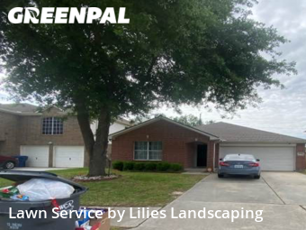 Lawn Maintenance nearby Spring, TX, 