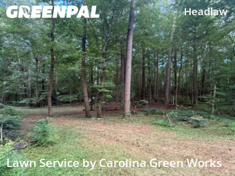 Lawn Cutting nearby Raleigh, NC, 