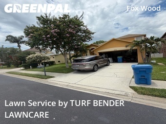 Yard Mowing nearby Trinity, FL, 