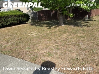 Lawn Cut nearby Raleigh, NC, 