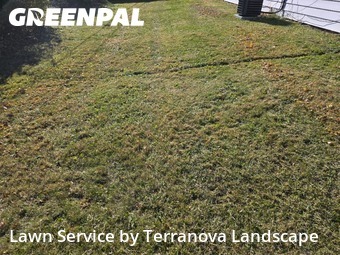 Lawn Carein Bolingbrook,60440,Grass Cutting by Terranova Landscape, work completed in Dec , 2025