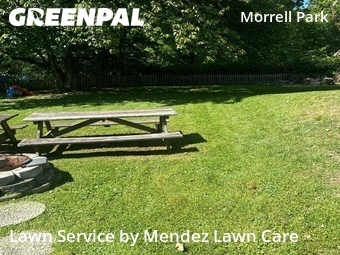 Lawn Mow nearby Philadelphia, PA, 