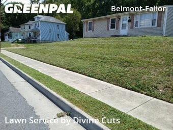 Lawn Mowing nearby Roanoke, VA, 