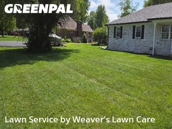 Lawn Cut nearby New Palestine, IN, 