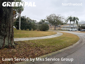 Lawn Mowing nearby Wesley Chapel, FL, 