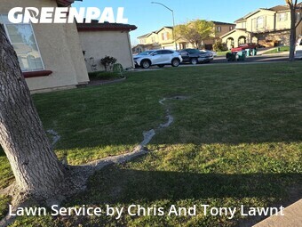 Grass Cut nearby Stockton, CA, 