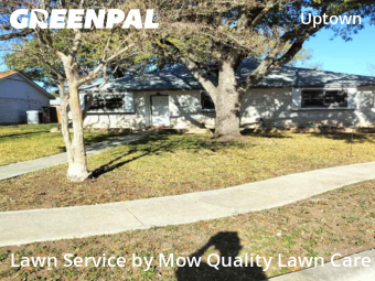 Yard Cutting nearby San Antonio, TX, 