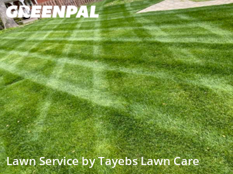 Grass Cutting nearby Richmond, VA, 