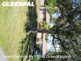 Lawn Services in Port Charlotte, 33952, Grass Care by J Tilts Greenthumb, work completed in Nov , 2025