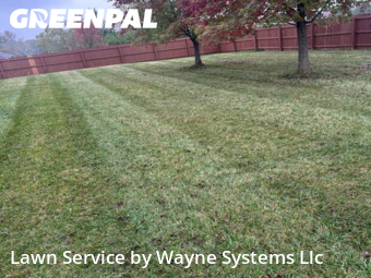 Lawn Care nearby Columbia, MO, 