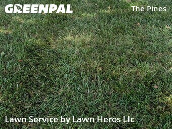 Grass Cut nearby Greensboro, NC, 