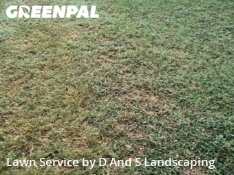 Lawn Care Service nearby Lewisville, TX, 