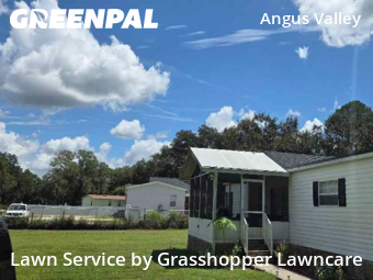 Lawn Maintenance nearby Zephyrhills, FL, 