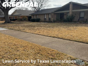 Lawn mowed in Richardson, 75081