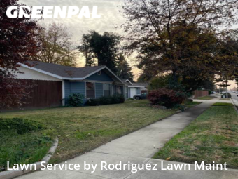 Lawn Cut nearby Tulare, CA, 