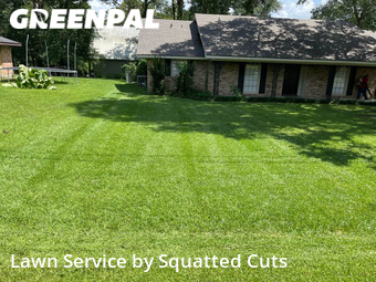 Lawn Care Service nearby Lafayette, LA, 