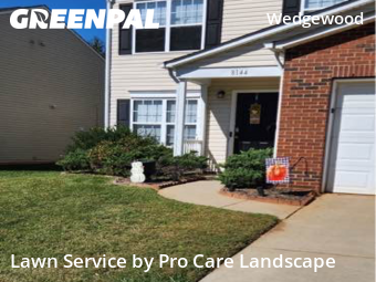 Lawn Care nearby Charlotte, NC, 