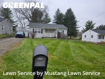 Lawn Cut nearby North Lima, OH, 
