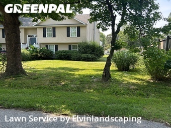 Landscaping Cleanup In Pasadena,21122,Landscaping Cleanup by Elvins Lansdcaping, work completed in Jul , 2026
