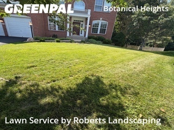 Grass Cutting nearby Springfield, VA, 