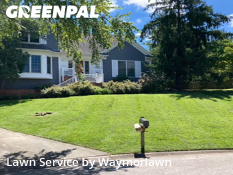 Lawn Maintenance nearby Louisville, KY, 