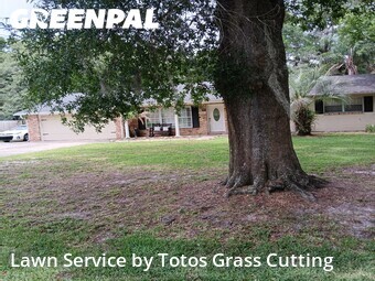 Lawn Cut nearby Forest City, FL, 