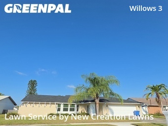 Grass Cut nearby Brandon, FL, 