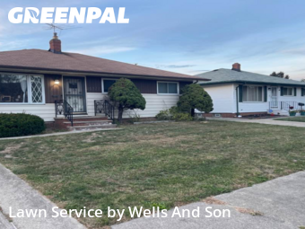 Weed Trimming in Euclid, 44132, Grass Care by Wells And Son, work completed in Nov , 2025