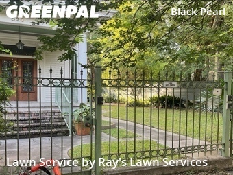 Yard Cutting nearby New Orleans, LA, 