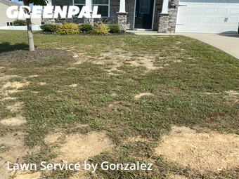 Grass Cutting nearby Clayton, NC, 