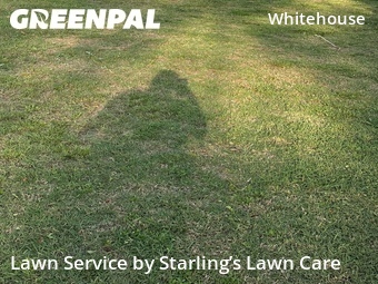 Lawn Cutting nearby Jacksonville, FL, 