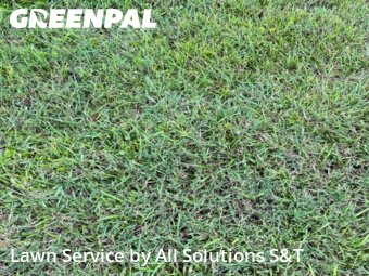 Yard Cutting nearby Poinciana, FL, 