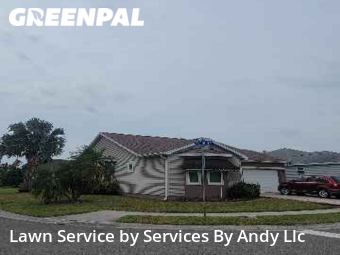 Lawn Cut nearby Oldsmar, FL, 