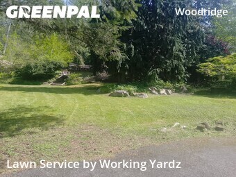 Lawn Maintenance nearby Bellevue, WA, 