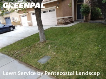 Yard Mowing nearby Lake Elsinore, CA, 