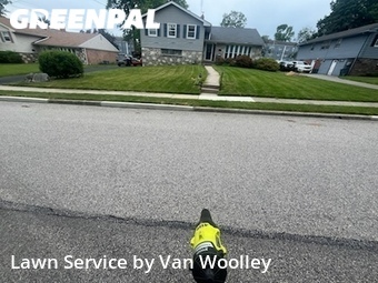 Turf Services in Glenside, 19038, Lawn Work by Van Woolley, work completed in Nov , 2025