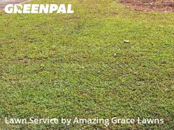 Lawn Maintenance nearby Lawrenceville, GA, 