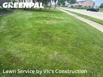 Lawn Mowing nearby Romeoville, IL, 