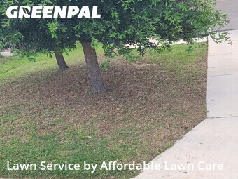 Yard Cutting nearby New Braunfels, TX, 