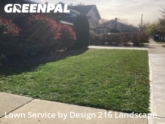 Grass Cutting nearby Lakewood, OH, 