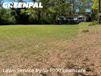 Lawn Mowing Service nearby Decatur, GA, 