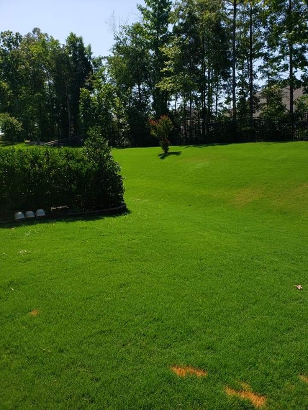 Order Lawn Care in China Grove, NC, 28023