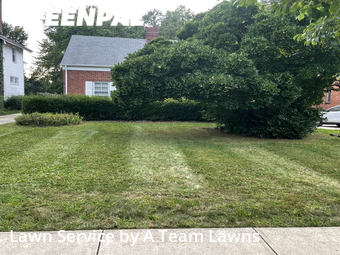Lawn Care Service nearby Euclid, OH, 
